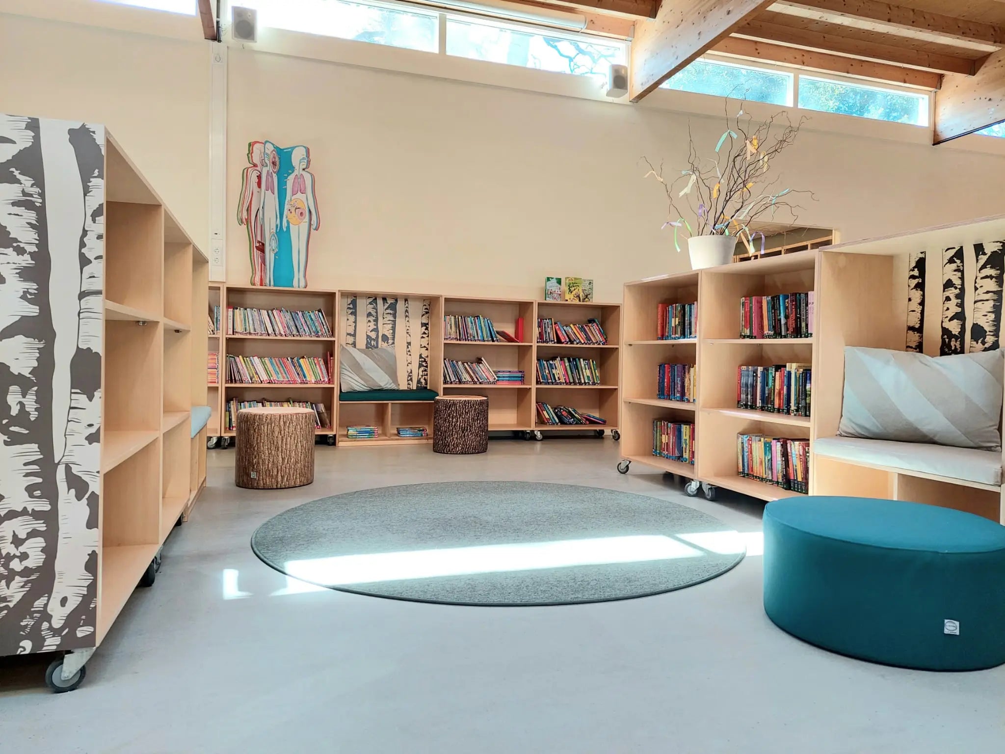 brandsmaschool maatwerk bibliotheekkast